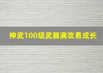 神武100级武器满攻易成长