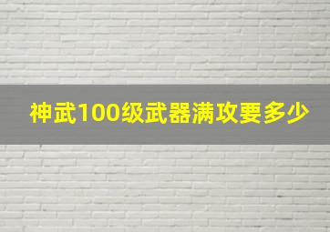 神武100级武器满攻要多少