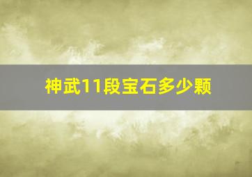 神武11段宝石多少颗