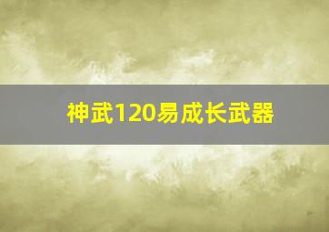 神武120易成长武器