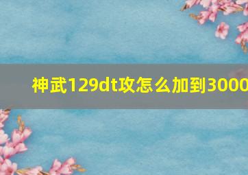 神武129dt攻怎么加到3000