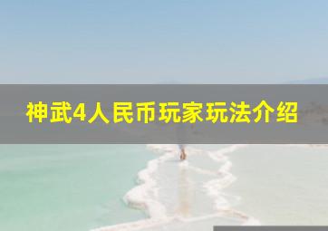 神武4人民币玩家玩法介绍