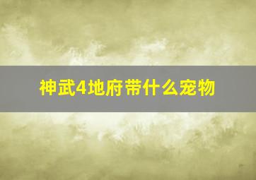 神武4地府带什么宠物