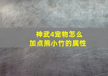 神武4宠物怎么加点熊小竹的属性