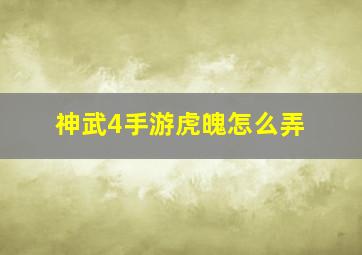 神武4手游虎魄怎么弄