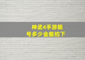 神武4手游靓号多少金能拍下