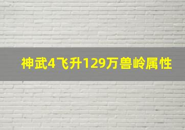 神武4飞升129万兽岭属性