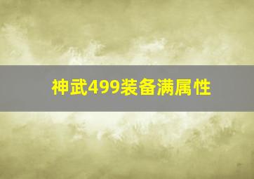 神武499装备满属性