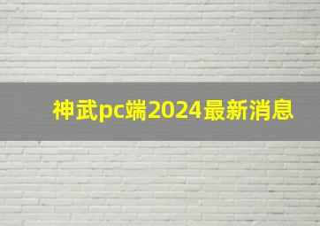 神武pc端2024最新消息