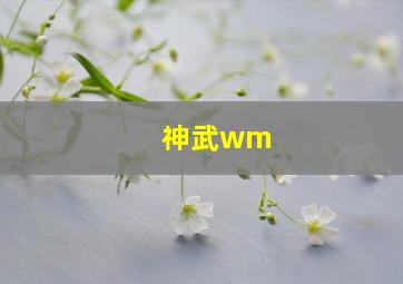 神武wm