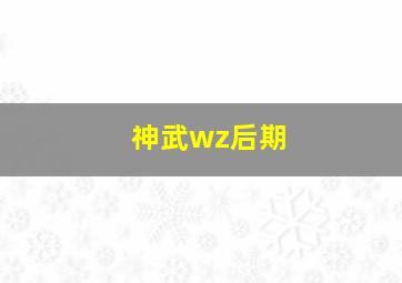 神武wz后期