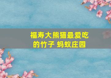 福寿大熊猫最爱吃的竹子 蚂蚁庄园