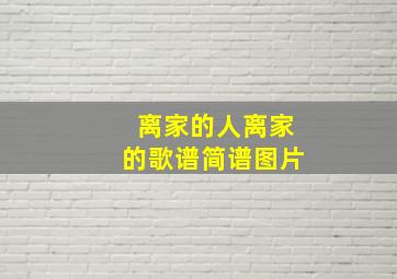 离家的人离家的歌谱简谱图片