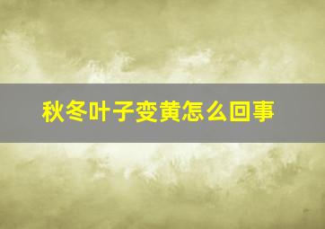 秋冬叶子变黄怎么回事