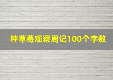 种草莓观察周记100个字数