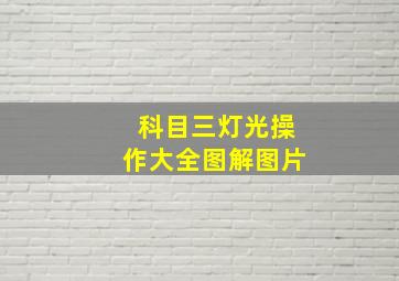 科目三灯光操作大全图解图片