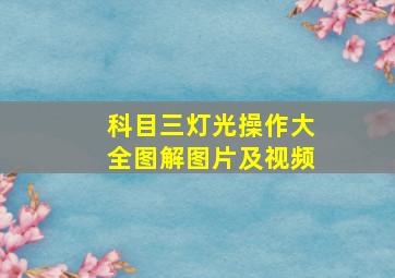 科目三灯光操作大全图解图片及视频