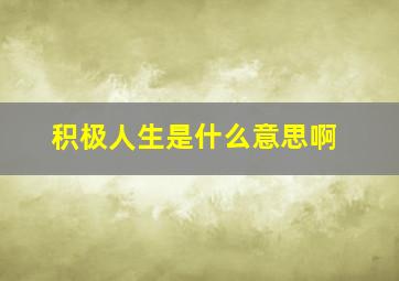 积极人生是什么意思啊