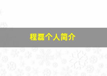 程磊个人简介