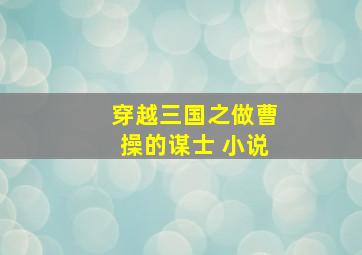 穿越三国之做曹操的谋士 小说