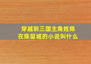 穿越到三国主角姓陈在陈留城的小说叫什么