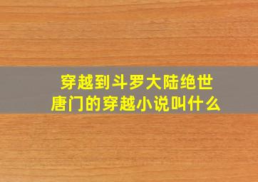 穿越到斗罗大陆绝世唐门的穿越小说叫什么