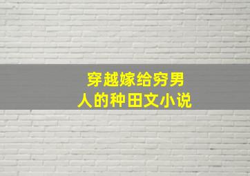 穿越嫁给穷男人的种田文小说