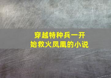 穿越特种兵一开始救火凤凰的小说