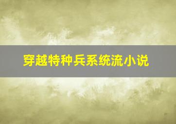 穿越特种兵系统流小说