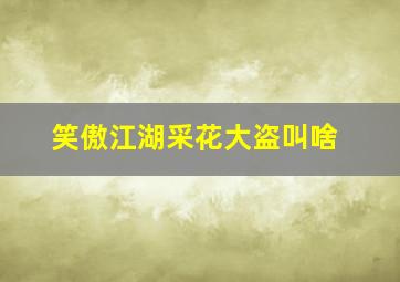 笑傲江湖采花大盗叫啥