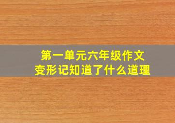 第一单元六年级作文变形记知道了什么道理