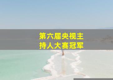 第六届央视主持人大赛冠军