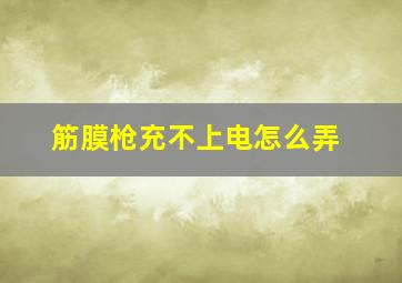 筋膜枪充不上电怎么弄