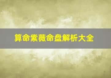 算命紫薇命盘解析大全