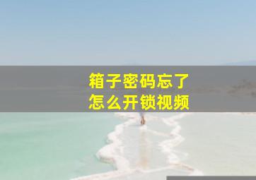 箱子密码忘了怎么开锁视频