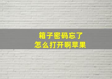 箱子密码忘了怎么打开啊苹果