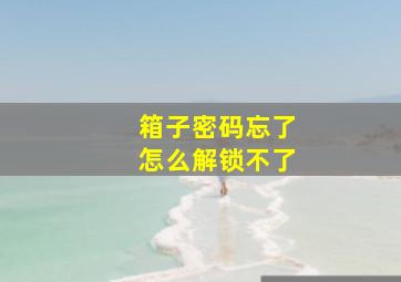 箱子密码忘了怎么解锁不了