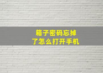 箱子密码忘掉了怎么打开手机