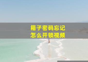 箱子密码忘记怎么开锁视频