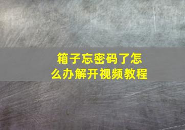 箱子忘密码了怎么办解开视频教程