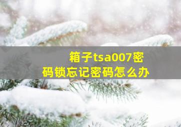 箱子tsa007密码锁忘记密码怎么办