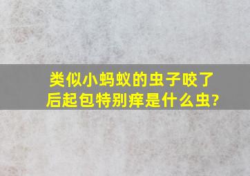 类似小蚂蚁的虫子咬了后起包特别痒是什么虫?