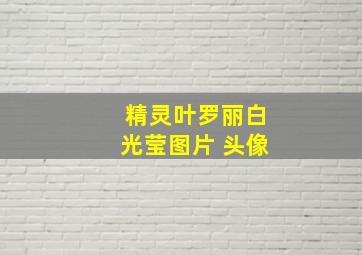 精灵叶罗丽白光莹图片 头像