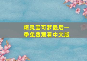 精灵宝可梦最后一季免费观看中文版