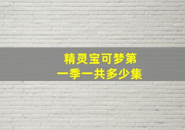 精灵宝可梦第一季一共多少集