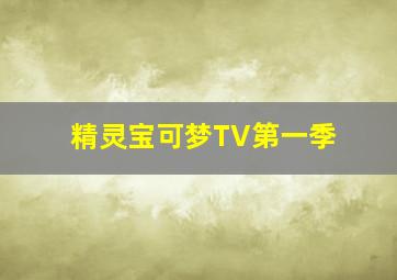 精灵宝可梦TV第一季