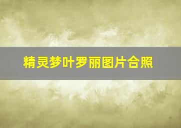 精灵梦叶罗丽图片合照