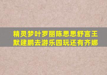 精灵梦叶罗丽陈思思舒言王默建鹏去游乐园玩还有齐娜