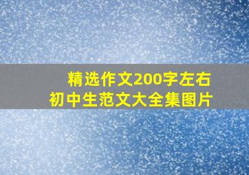 精选作文200字左右初中生范文大全集图片