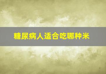 糖尿病人适合吃哪种米